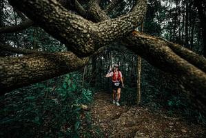 BIB: 
                            <button type="button" onclick="openModal(25700991)" class="btn btn-primary btn-sm float-right btn-popup" data-toggle="modal" data-target=".modal-high-quality">
                        <i class="fas fa-shopping-cart"></i> Add to Cart
                    </button>
                                            <button type="button" onclick="isThisMe(25700991, true)" class="btn btn-success btn-sm float-right btn-popup btn-isme hidden" data-toggle="tooltip" data-placement="bottom" title="นี่คือรูปของคุณใช่ไหม คลิกที่นี่เพื่อเอาเข้าอัลบั้ม">
                        <i class="fas fa-plus"></i> Add to album
                    </button>
                    <button type="button" onclick="isThisMe(25700991, false)" class="btn btn-warning btn-sm float-right btn-popup btn-isnotme hidden">
                        <i class="fas fa-ban"></i> Remove from album
                    </button>